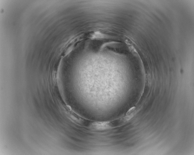 X0000059230093200510281916