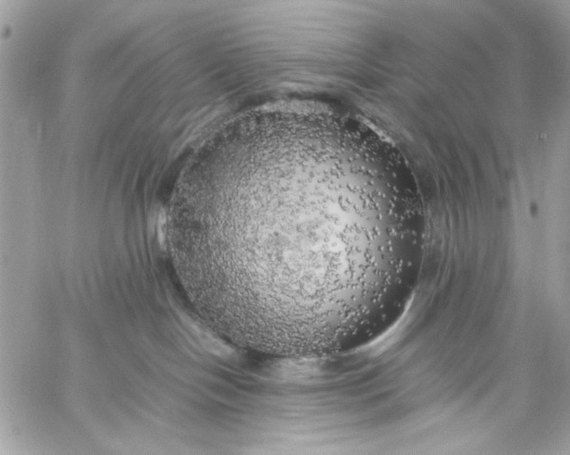 X0000059230094200510281916