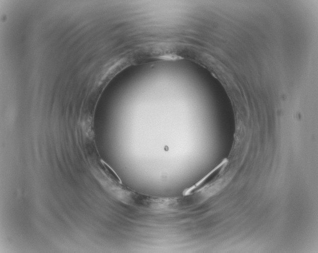 X0000059230096200510281916