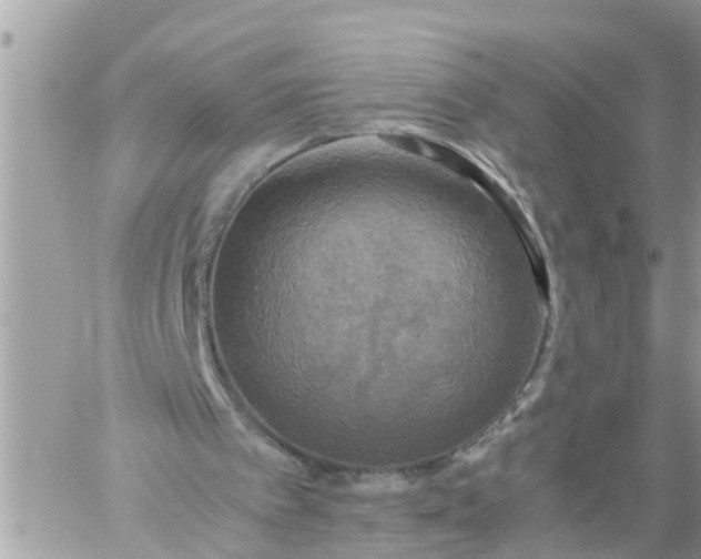 X0000059230097200510281915