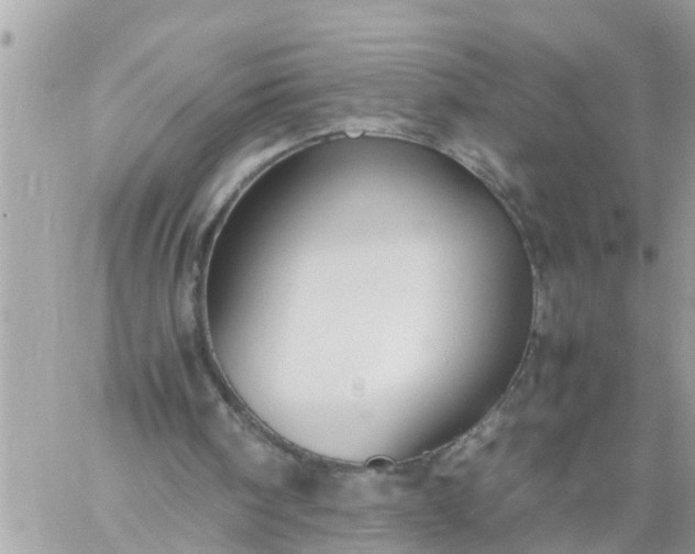 X0000059230098200510281915