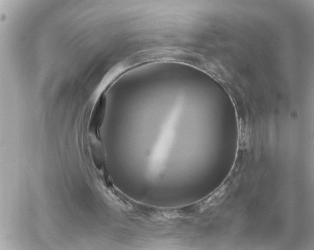 X0000059230099200510281915