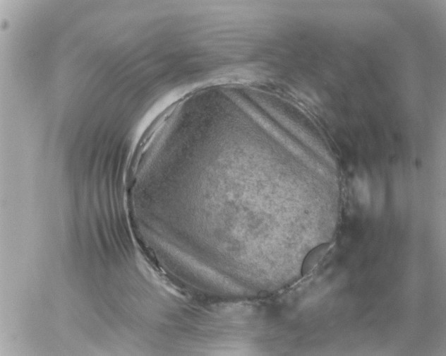 X0000059230100200510281915