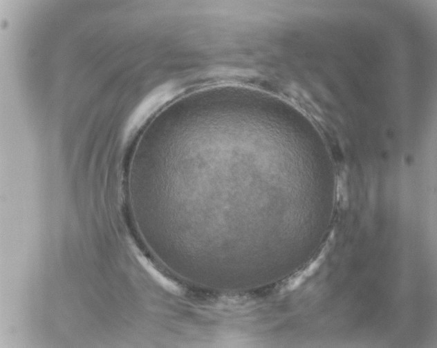 X0000059230101200510281915