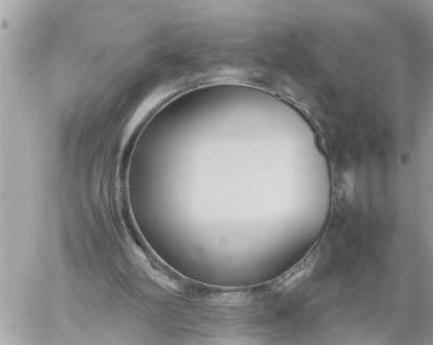 X0000059230102200510281915