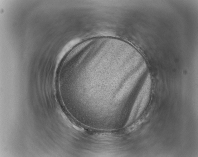 X0000059230104200510281915