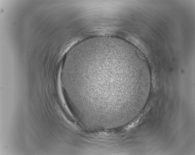 X0000059230105200510281915