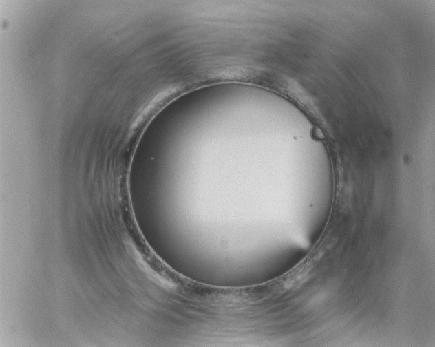 X0000059230106200510281915