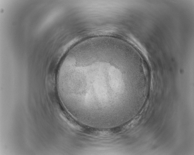 X0000059230107200510281915