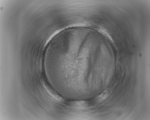 X0000059230108200510281915