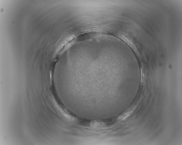 X0000059230109200510281915