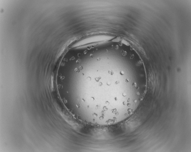 X0000059230110200510281915