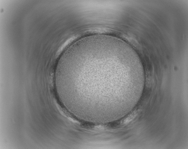 X0000059230111200510281915