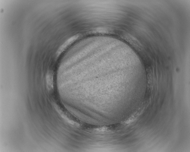 X0000059230112200510281915