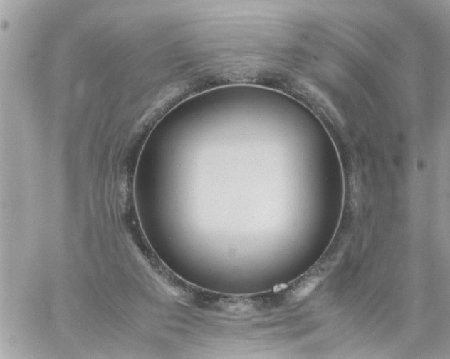 X0000059230113200510281915