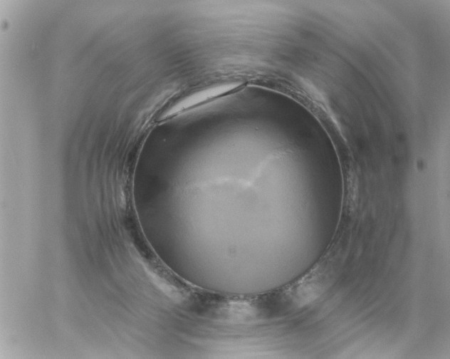 X0000059230114200510281915