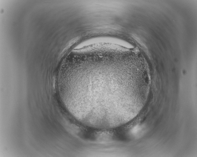 X0000059230115200510281915