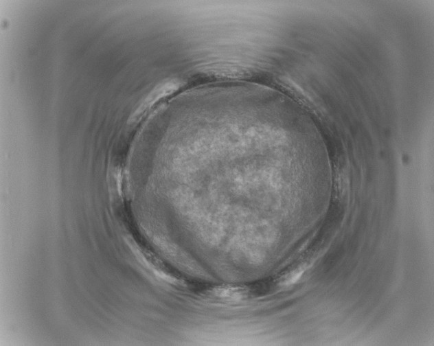 X0000059230117200510281915