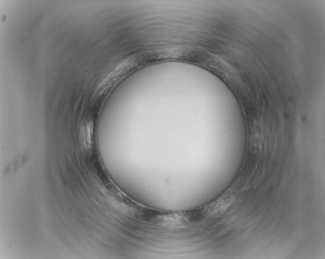 X0000059230118200510281915