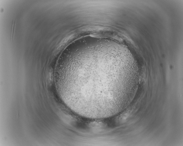 X0000059230119200510281915