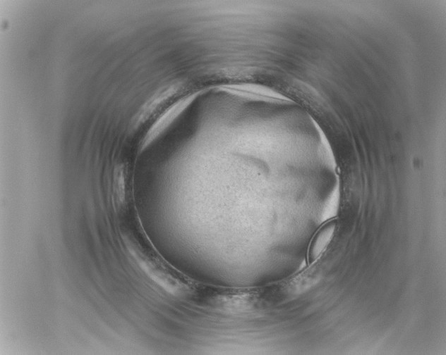 X0000059230120200510281915