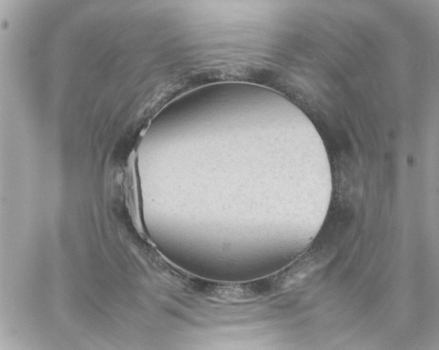 X0000059230123200510281915