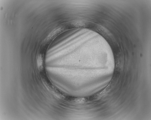 X0000059230124200510281915