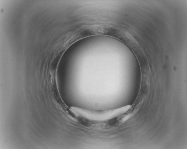 X0000059230125200510281915