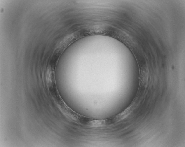 X0000059230126200510281915