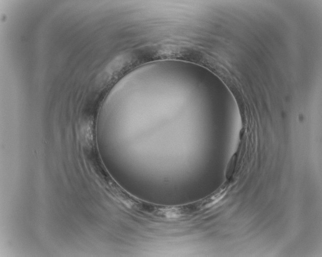 X0000059230127200510281915