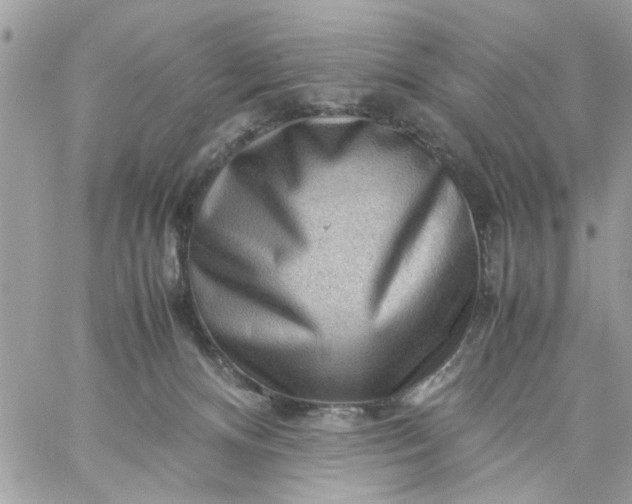 X0000059230128200510281915