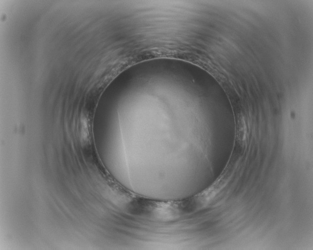 X0000059230130200510281915