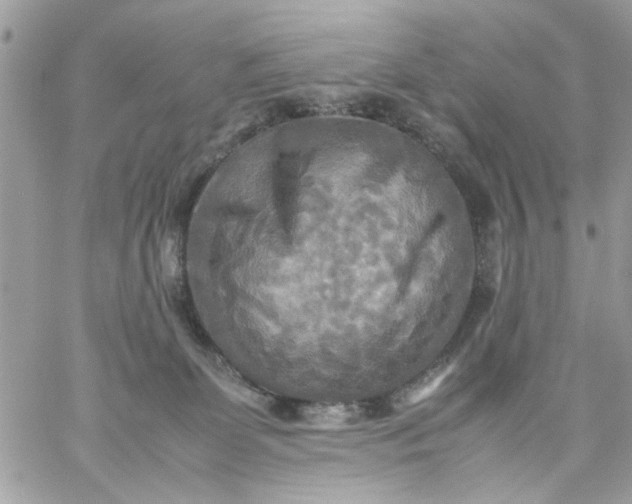 X0000059230131200510281915