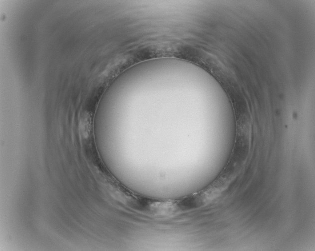 X0000059230133200510281915