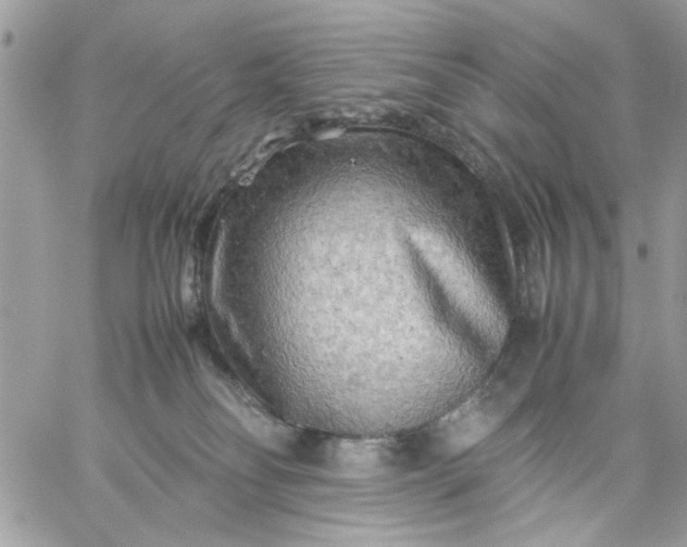 X0000059230134200510281915