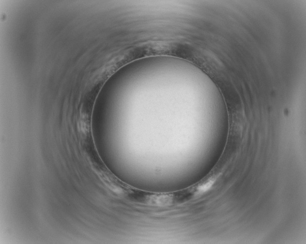 X0000059230135200510281915