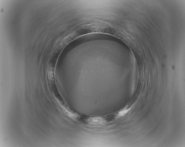 X0000059230137200510281915