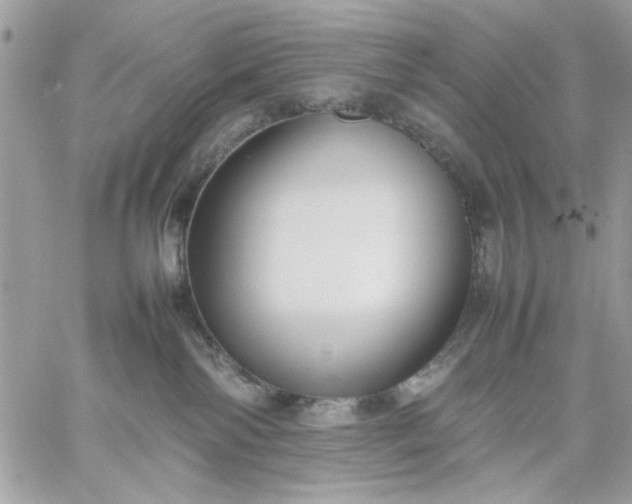 X0000059230138200510281915