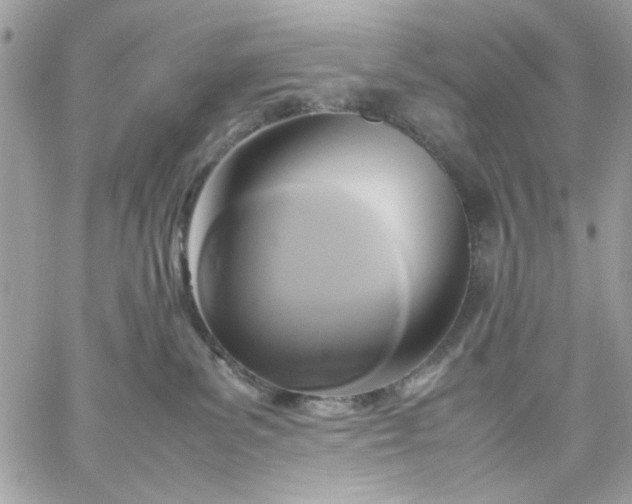 X0000059230139200510281915