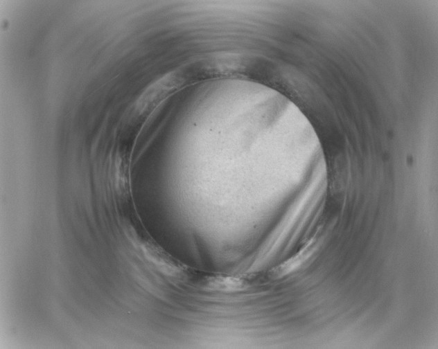 X0000059230140200510281915