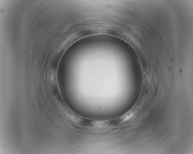 X0000059230141200510281915