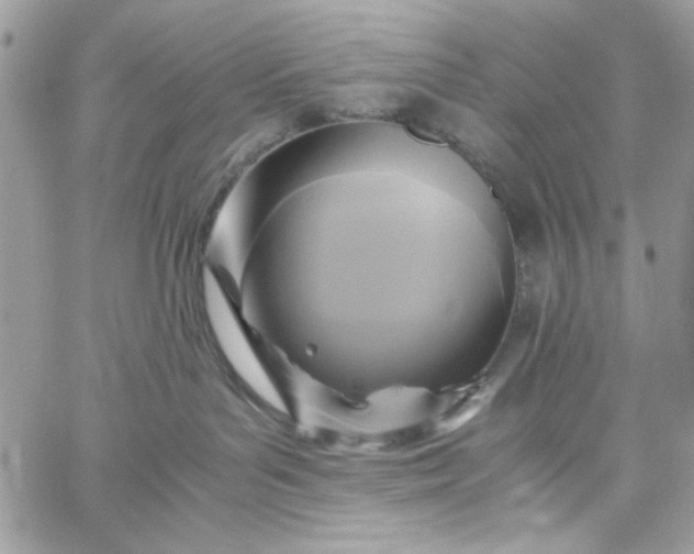 X0000059230143200510281915