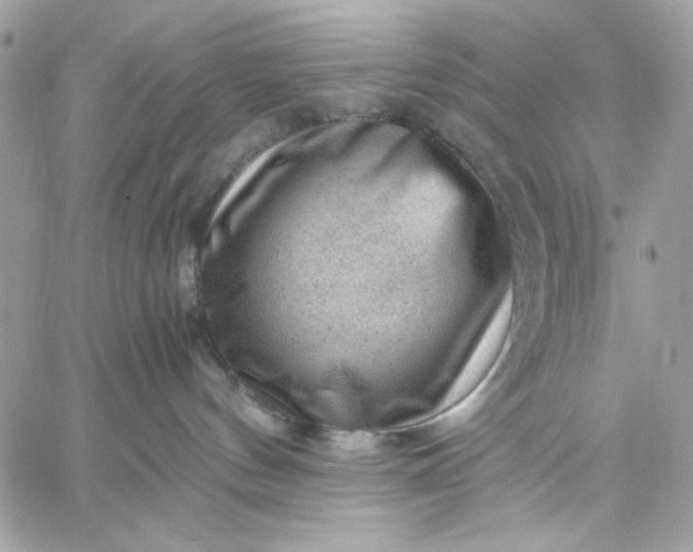 X0000059230144200510281915