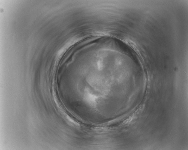 X0000059230145200510281914