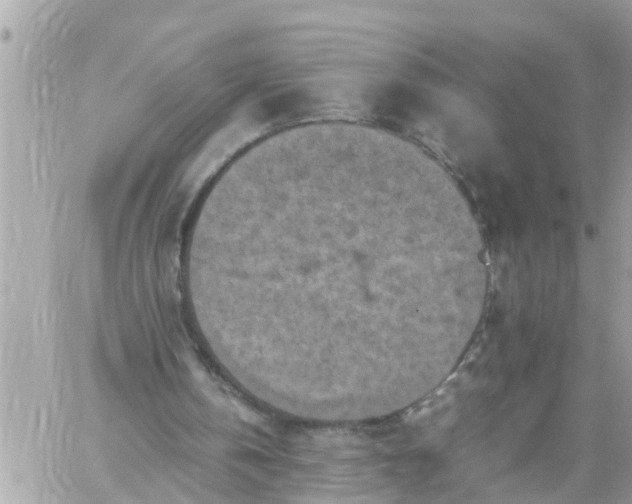 X0000059230146200510281914