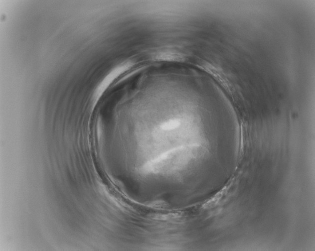 X0000059230147200510281914