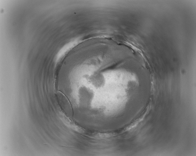 X0000059230149200510281914