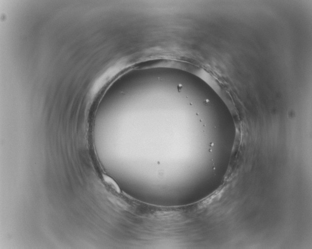 X0000059230150200510281914