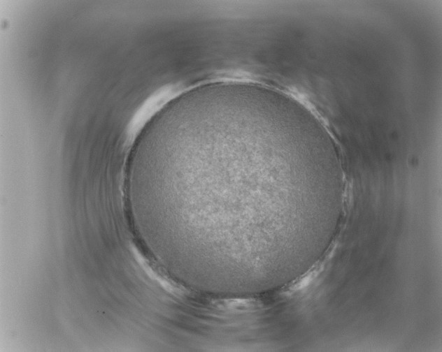 X0000059230151200510281914