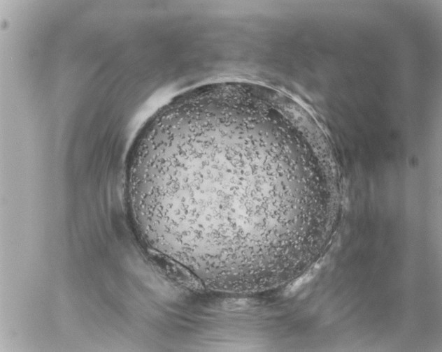 X0000059230152200510281914